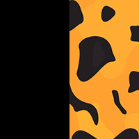 Black-Tortoise