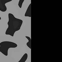 Grey-Tortoise-Black