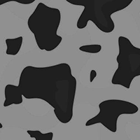 Grey-Tortoise