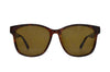 USA-Brown Gradient